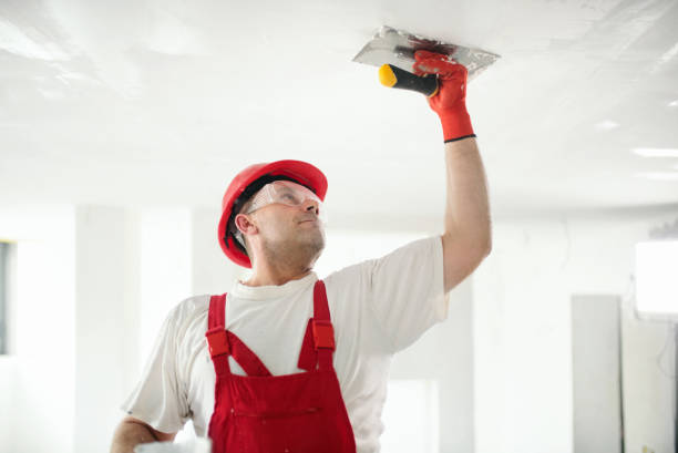 Best Drywall Texturing  in Idalou, TX